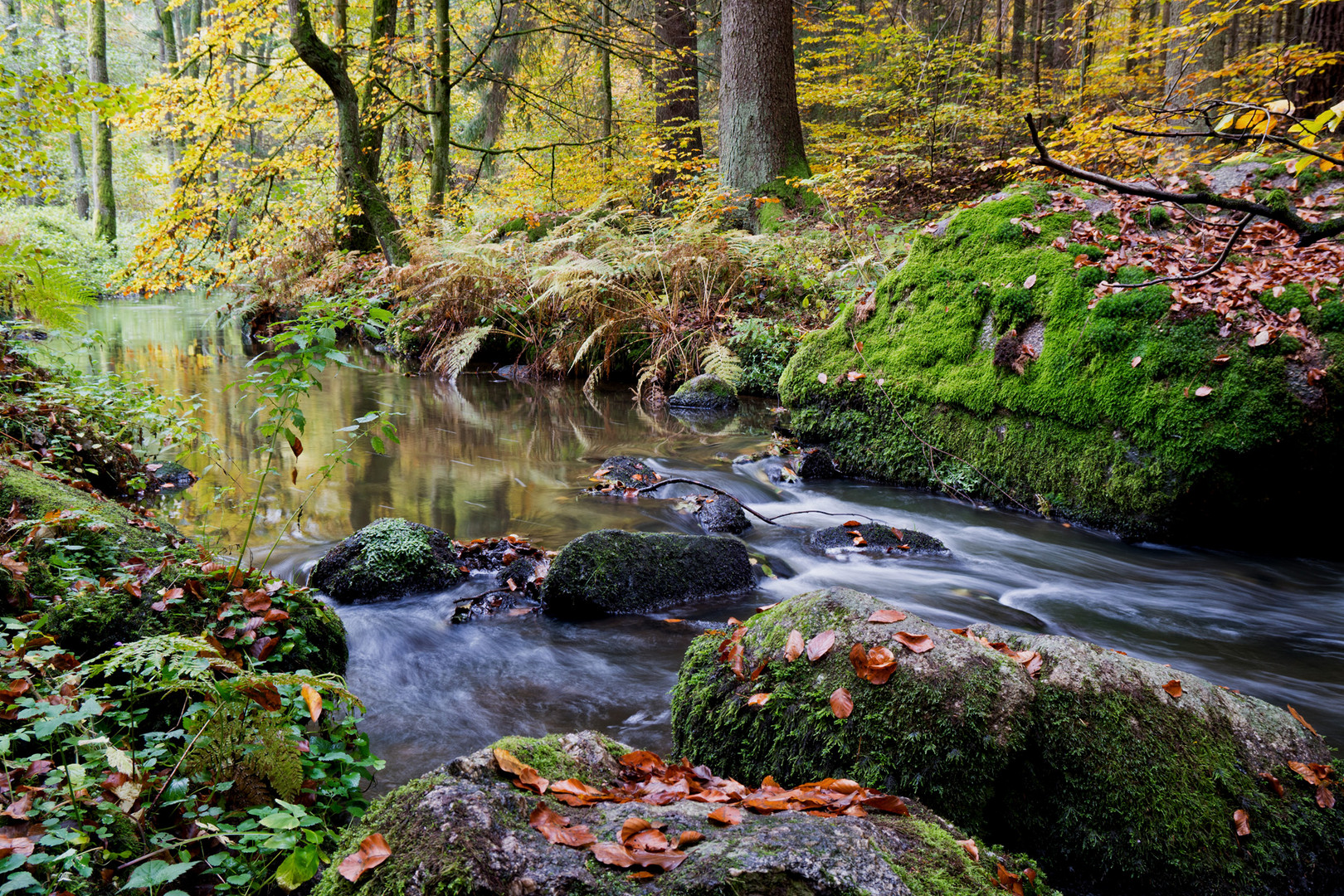 Herbst im Höllbachtal