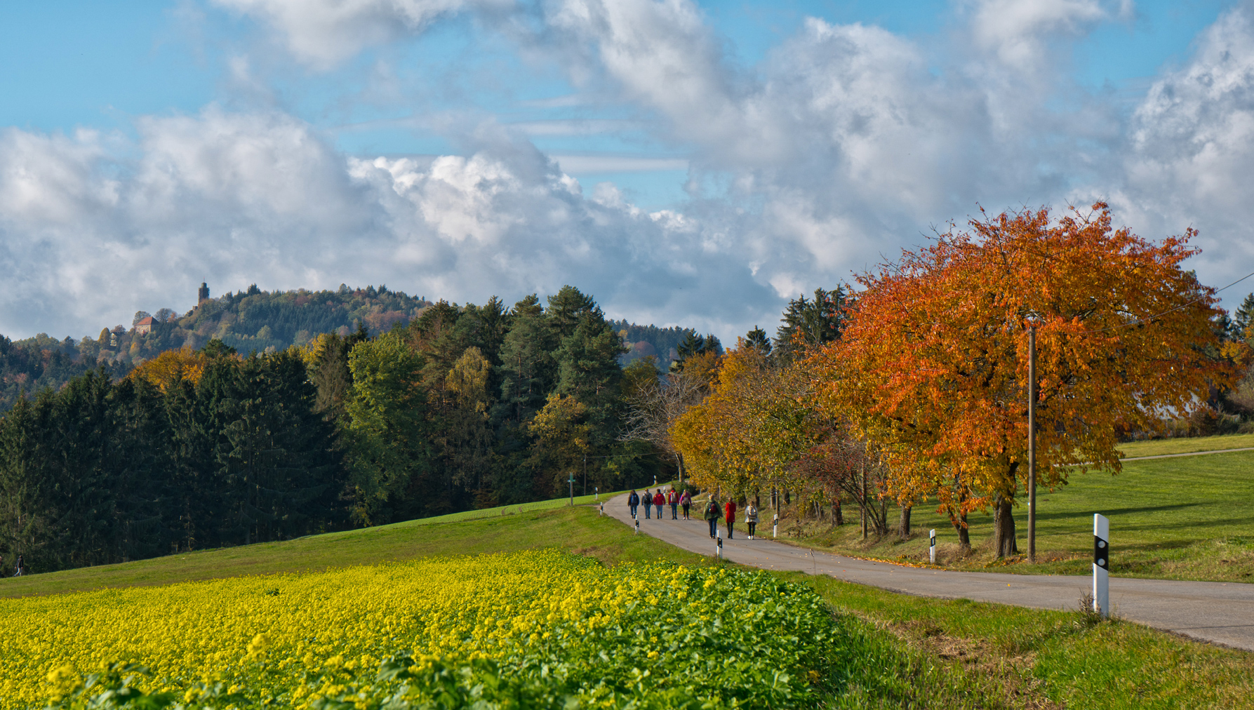 Herbst im Höllbachtal