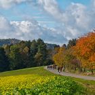 Herbst im Höllbachtal