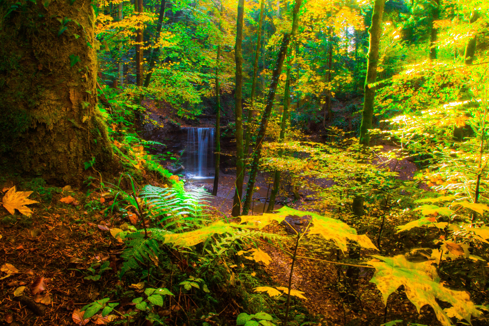 Herbst im Hörschbachtal