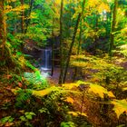 Herbst im Hörschbachtal