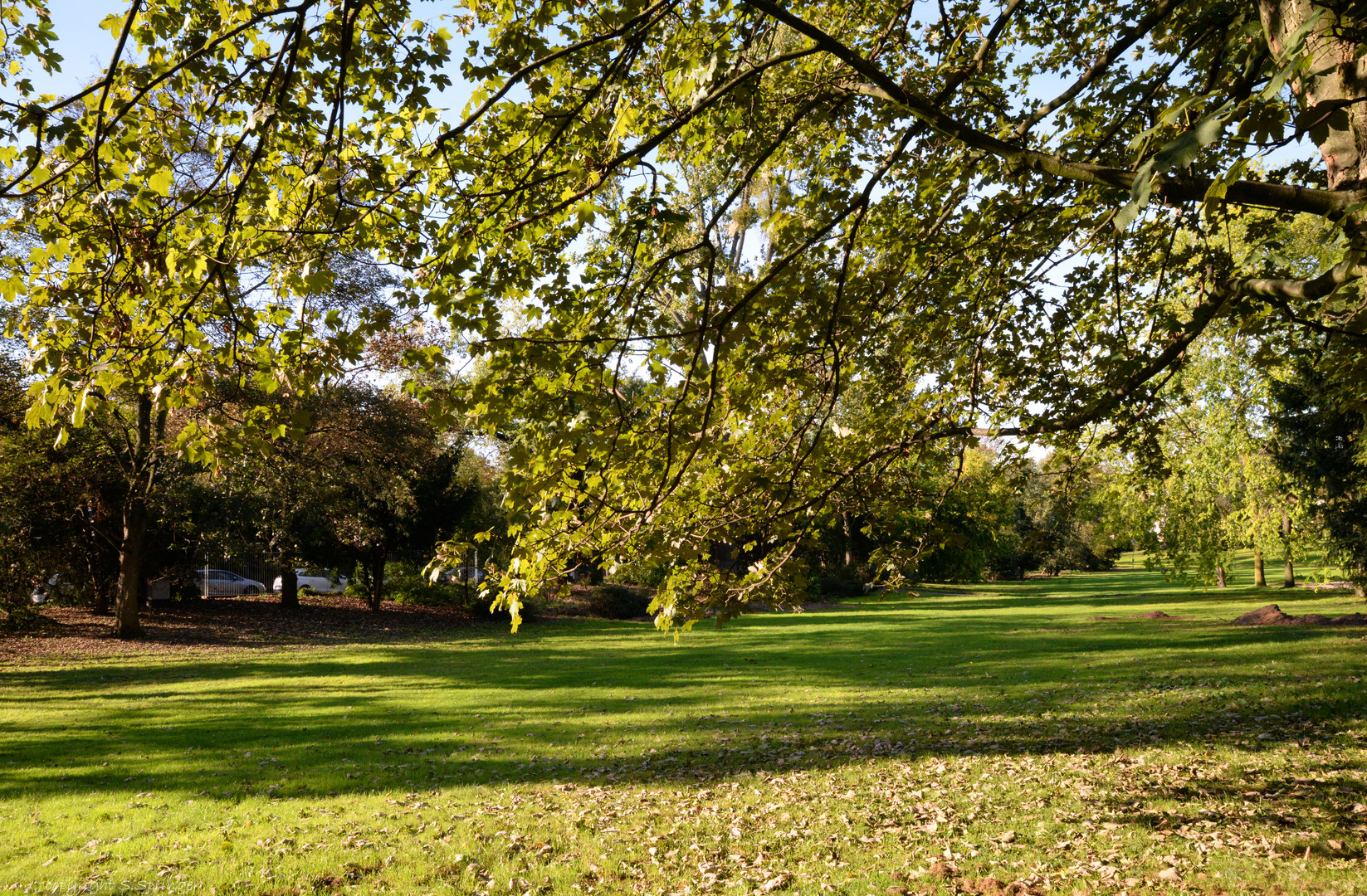 Herbst im Hofgarten....