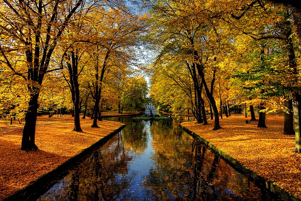 Herbst im Hofgarten