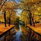 Herbst im Hofgarten