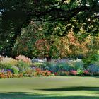 Herbst im Hofgarten