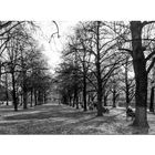 Herbst im Hofgarten