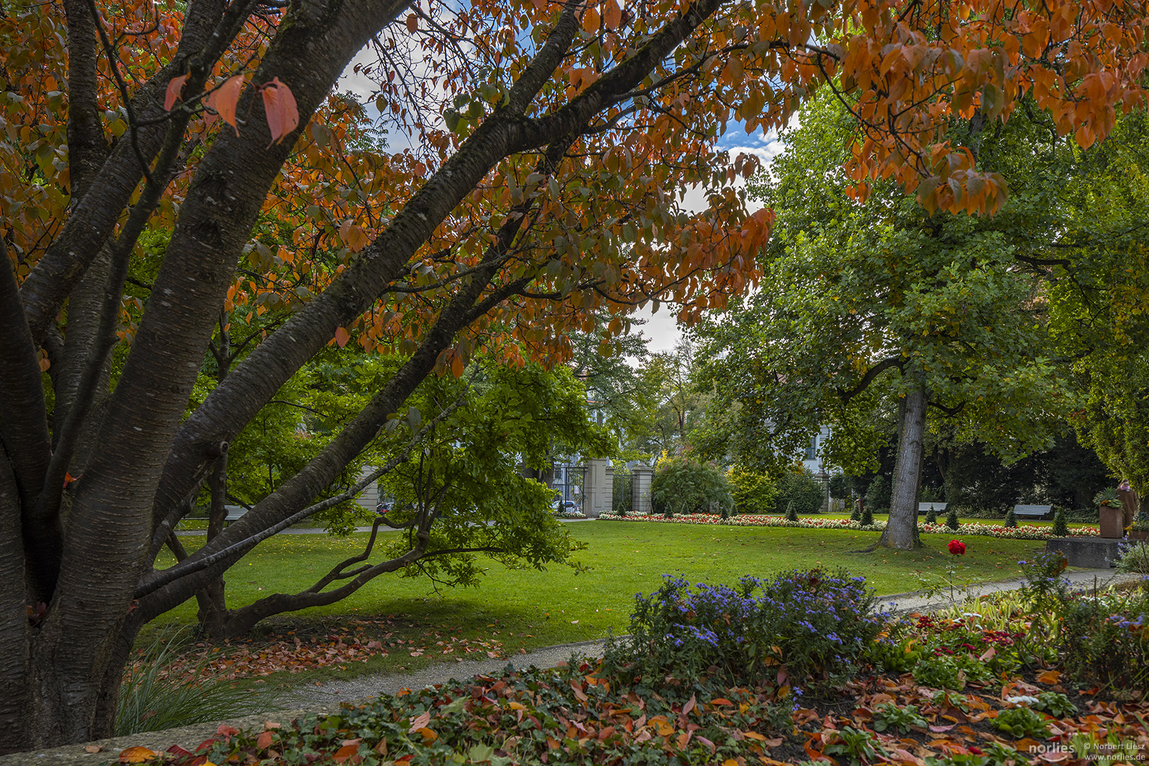 Herbst im Hofgarten