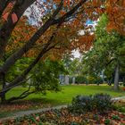 Herbst im Hofgarten