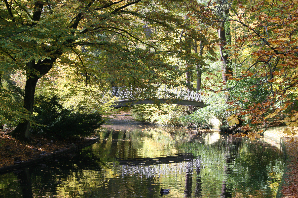 Herbst im Hofgarten