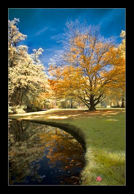 Herbst im Hofgarten BT (Sandwich)