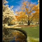 Herbst im Hofgarten BT (Sandwich)