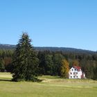 Herbst im Hohen Fichtelgebirge