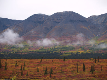 Herbst im hohen Norden