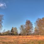 Herbst im Hohen Venn