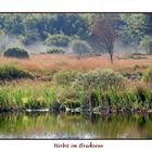 Herbst im Hohen Venn