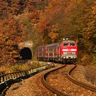 Herbst im Hunsrück