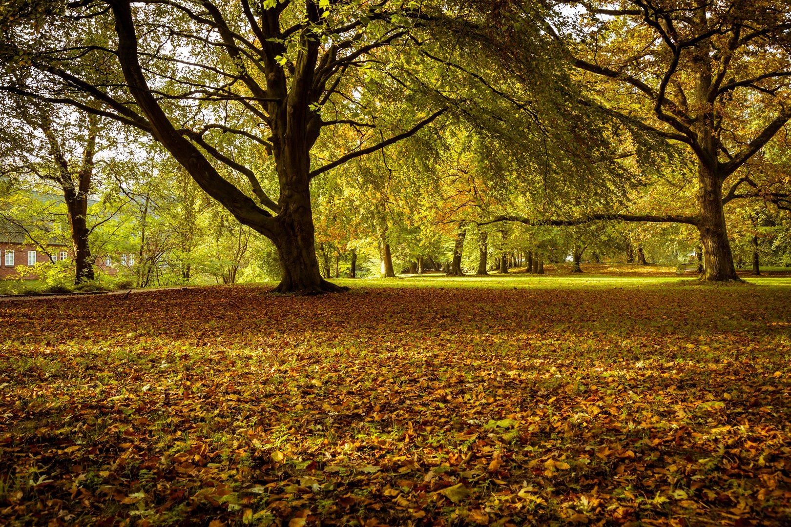 Herbst im Husumer Schlosspark