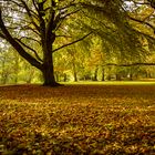 Herbst im Husumer Schlosspark