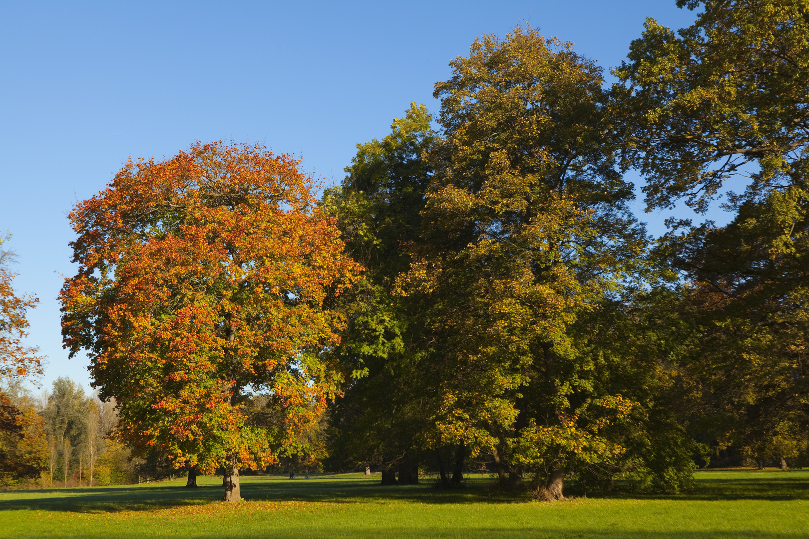 Herbst im Ilmpark