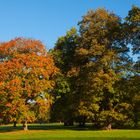 Herbst im Ilmpark