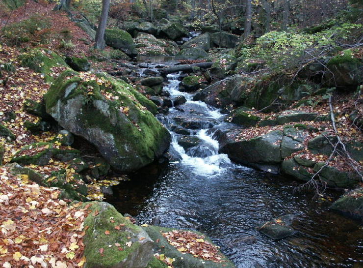 Herbst im Ilse-Tal