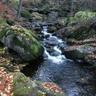 Herbst im Ilse-Tal