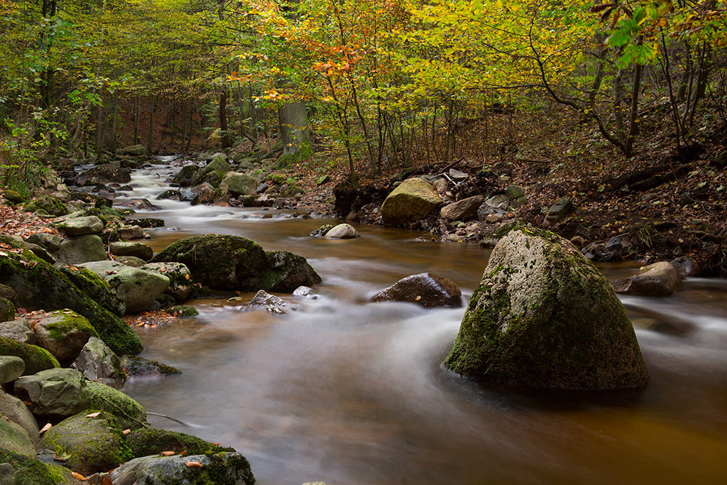 Herbst im Ilsetal