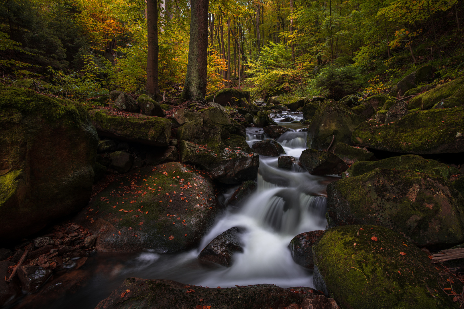 Herbst im Ilsetal....