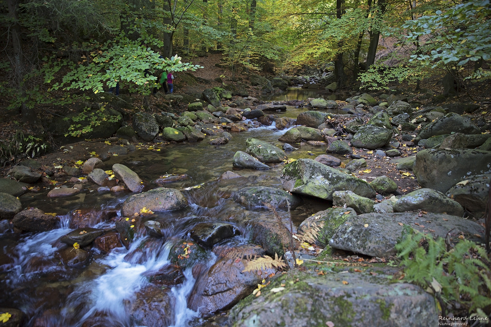  Herbst im Ilsetal