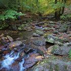  Herbst im Ilsetal