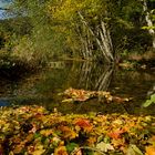 Herbst im Ilsetal