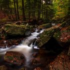 Herbst im Ilsetal