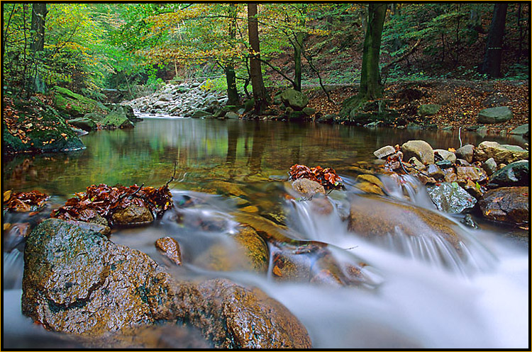 Herbst im Ilsetal