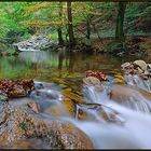 Herbst im Ilsetal