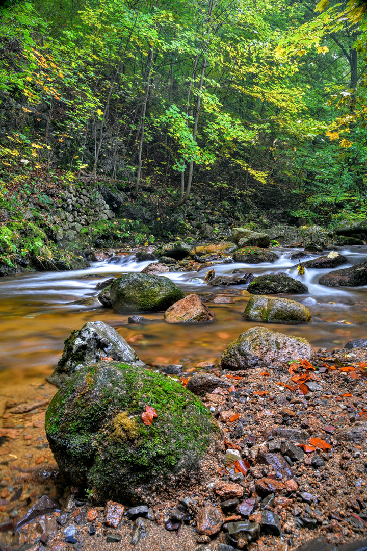 Herbst im Ilsetal