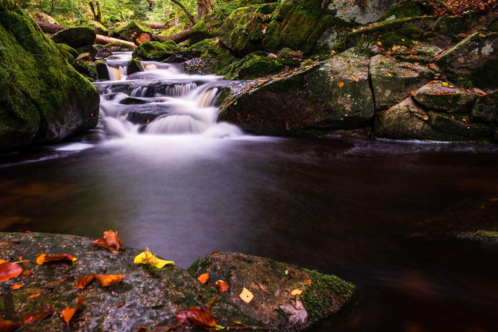 Herbst im Ilsetal