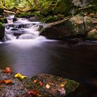 Herbst im Ilsetal