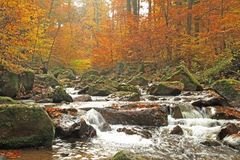 Herbst im Ilsetal