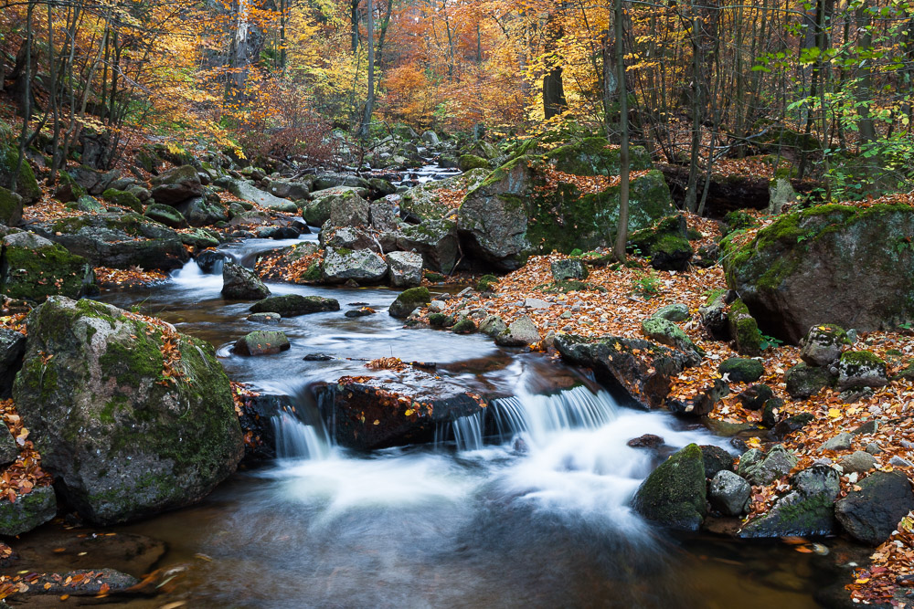 Herbst im Ilsetal (Harz)