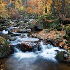 Herbst im Ilsetal (Harz)