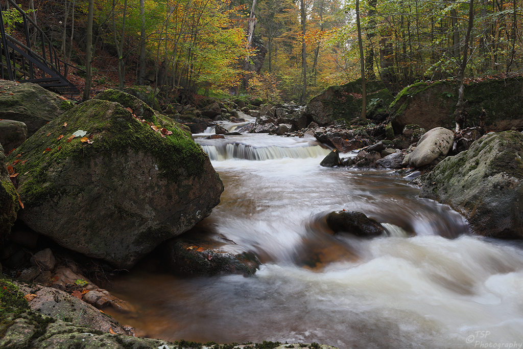 Herbst im Ilsetal II