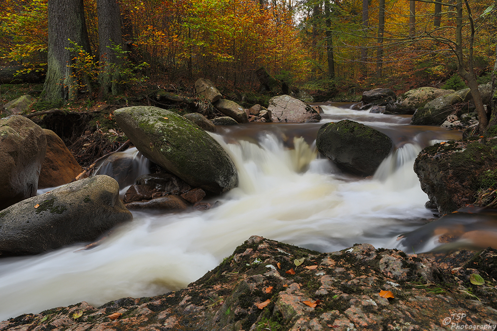 Herbst im Ilsetal III