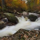 Herbst im Ilsetal III