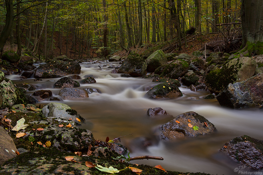 Herbst im Ilsetal IV