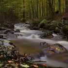 Herbst im Ilsetal IV