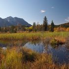 Herbst im Inzeller Moor