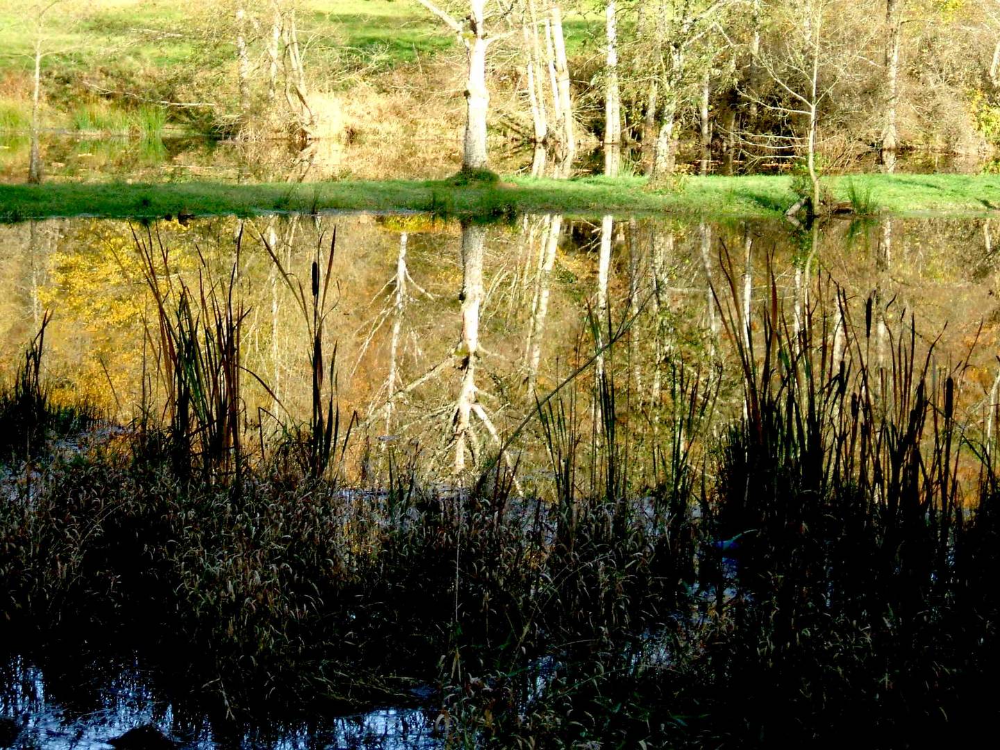 Herbst im Irsental 2