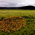 Herbst im IS Hochland