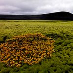 Herbst im IS Hochland