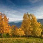 Herbst im Isergebirge